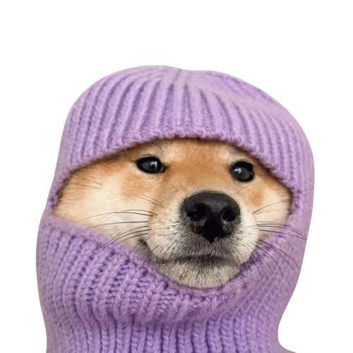 $SNOOP - The coolest dog in crypto